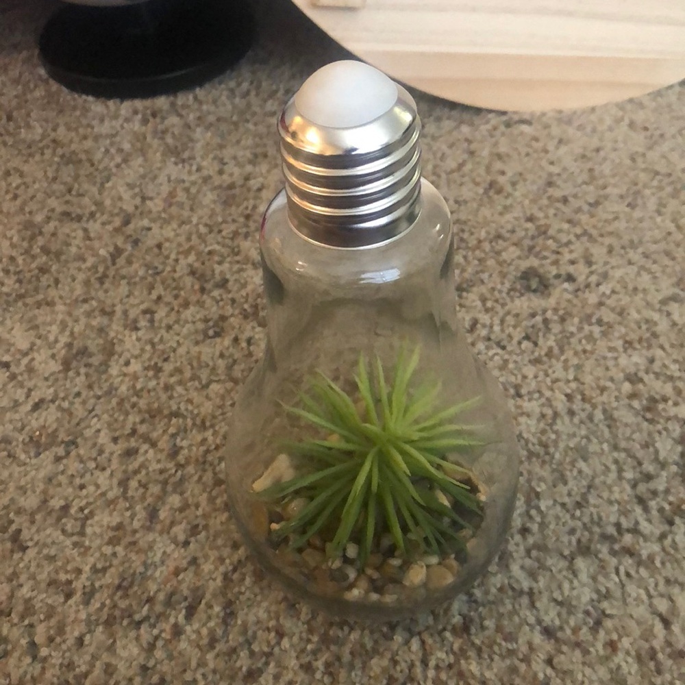 Lightbulb decor with succulent plant. Has clickable light inside.